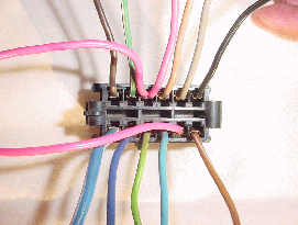 Correctly Wired Plug