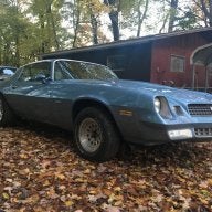 wildcamaro